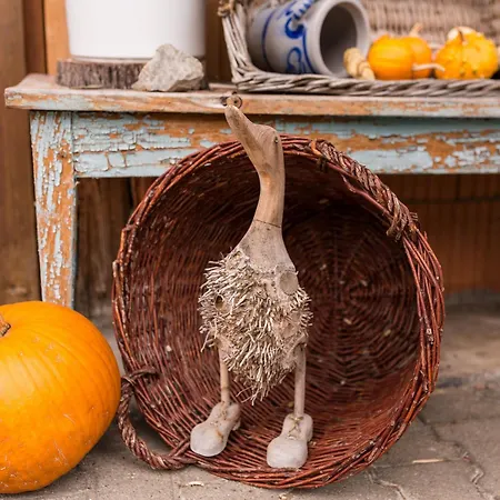 Apartman Wollmeister *