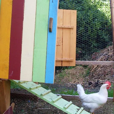 Wollmeister Apartman Bad Liebenzell