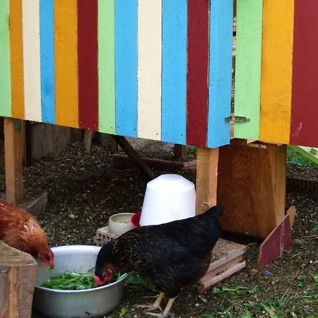 Apartman Wollmeister